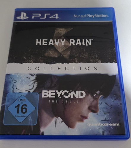 The heavy rain - the,
